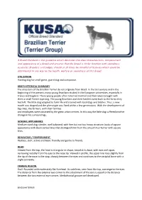 UTILIZATION Hunting Dog for Small Game, Guard Dog and Companion