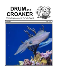 2020 Volume 51