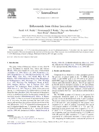 Biflavonoids from Ochna Lanceolata