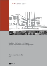 Biodiesel Production from Wastes: Process Development and Quality Control