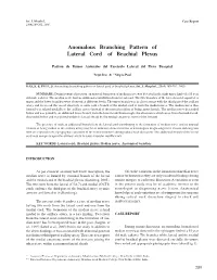 Anomalous Branching Pattern of Lateral Cord of Brachial Plexus