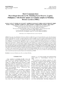 Macrofungal Diversity in Mt. Makiling Forest Reserve, Laguna, Philippines: with Floristic Update on Roadside Samples in Makiling Botanic Gardens (MBG)