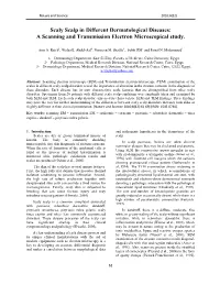 Scaly Scalp in Different Dermatological Diseases: a Scanning and Transmission Electron Microscopical Study