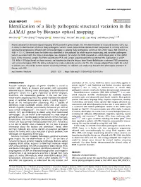 Identification of a Likely Pathogenic Structural Variation in the LAMA1