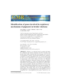 Identification of Genes Involved in Regulatory Mechanism of Pigments in Broiler Chickens