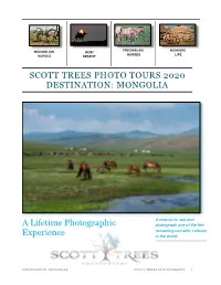 STP Mongolian Brochure