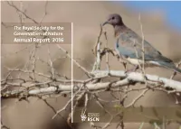 Annual Report En 2016