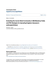 Evaluating the Current Weed Community in Wild Blueberry Fields and IPM Strategies for Spreading Dogbane (Apocynum Androsaemifolium)