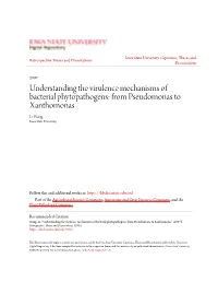 From Pseudomonas to Xanthomonas Li Wang Iowa State University