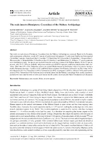 (Hemiptera: Coccoidea) of the Maltese Archipelago