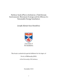 Joseph Onoufriou Phd Thesis
