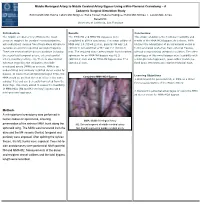 Middle Meningeal Artery to Middle Cerebral Artery Bypass Using A