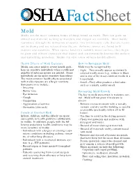 Mold Molds Are the Most Common Forms of Fungi Found on Earth