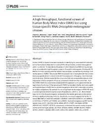 A High Throughput, Functional Screen of Human Body Mass Index GWAS Loci Using Tissue-Specific Rnai Drosophila Melanogaster Crosses