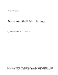 Nautiloid Shell Morphology