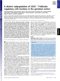 T-Follicular Regulatory Cells Localizes in the Germinal Centers