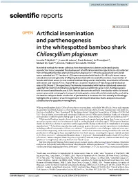Artificial Insemination and Parthenogenesis in the Whitespotted Bamboo Shark Chiloscyllium Plagiosum