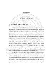 Chapter 2 Literature Review