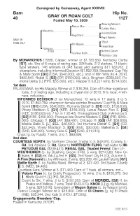GRAY OR ROAN COLT Barn 40 Hip No. 1127
