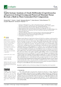 Stable Isotope Analysis of Ozark Hellbender (Cryptobranchus