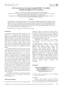 The Lioconcha Castrensis Species Group (Bivalvia : Veneridae), with the Description of Two New Species