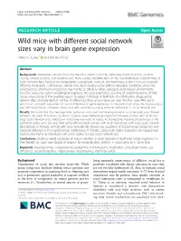 Wild Mice with Different Social Network Sizes Vary in Brain Gene Expression Patricia C