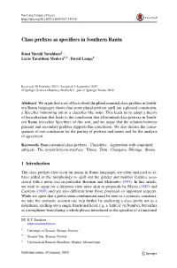 Class Prefixes As Specifiers in Southern Bantu