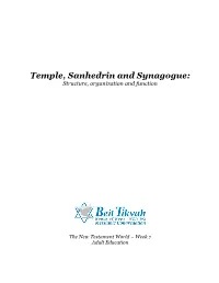 Temple, Sanhedrin and Synagogue: Structure, Organization and Function