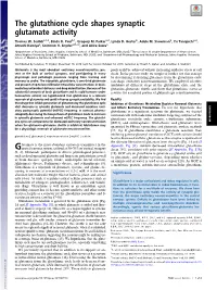 The Glutathione Cycle Shapes Synaptic Glutamate Activity