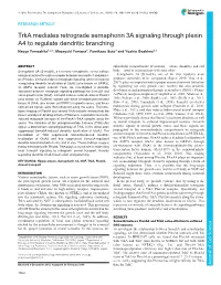 Trka Mediates Retrograde Semaphorin 3A Signaling Through Plexin A4 To