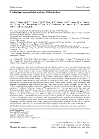 A Polyphasic Approach for Studying Colletotrichum