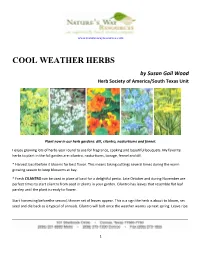 Cool Weather Herbs