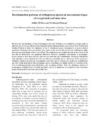 Recolonisation Patterns of Orthopteran Species in Successional Stages of Revegetated Coal Mine Sites