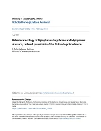Behavioral Ecology of Myiopharus Doryphorae and Myiopharus Aberrans, Tachinid Parasitoids of the Colorado Potato Beetle