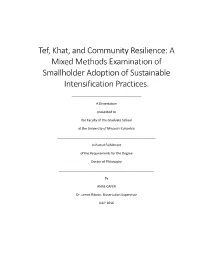 Tef, Khat, and Community Resilience: a Mixed Methods Examination of Smallholder Adoption of Sustainable Intensification Practices