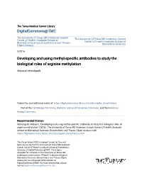 Developing and Using Methyl-Specific Antibodies to Study the Biological
