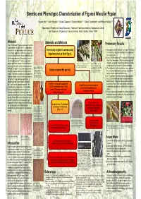 Genetic and Phenotypic Characterization of Figured Wood in Poplar