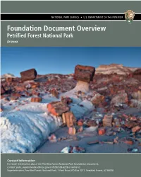 Petrified Forest National Park Foundation Document Overview