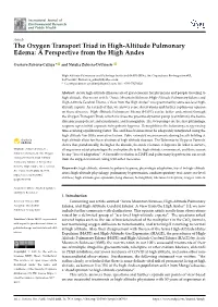The Oxygen Transport Triad in High-Altitude Pulmonary Edema: a Perspective from the High Andes