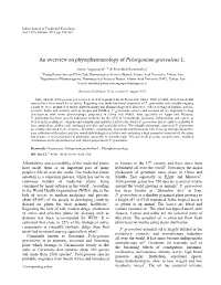 An Overview on Phytopharmacology of Pelargonium Graveolens L