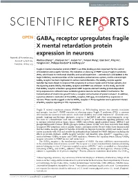 GABAB Receptor Upregulates Fragile X Mental Retardation Protein