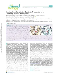 Structural Insights Into the Substrate Promiscuity of a Laboratory-Evolved Peroxygenase