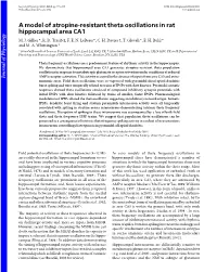 A Model of Atropine-Resistant Theta Oscillations in Rat Hippocampal Area
