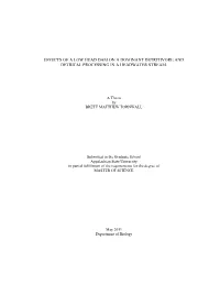 Effects of a Low Head Dam on a Dominant Detritivore and Detrital Processing in a Headwater Stream