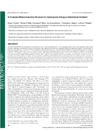 A Complex Metacommunity Structure for Gastropods Along an Elevational Gradient