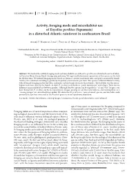 Activity, Foraging Mode and Microhabitat Use of Enyalius Perditus (Squamata) in a Disturbed Atlantic Rainforest in Southeastern Brazil