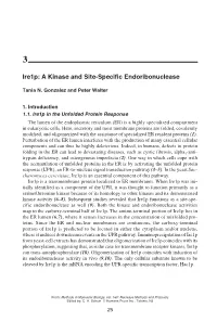 A Kinase and Site-Specific Endoribonuclease