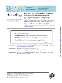 Differentiation and Bone Resorption Role of CX3CL1/Fractalkine In