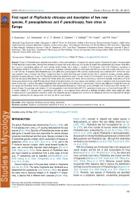 First Report of Phyllosticta Citricarpa and Description of Two New Species, P