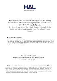 (Homoscleromorpha) with Description of Two New Oscarella Species